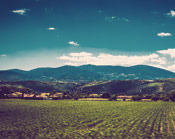 最便宜哪里买的催收短信电话轰炸机